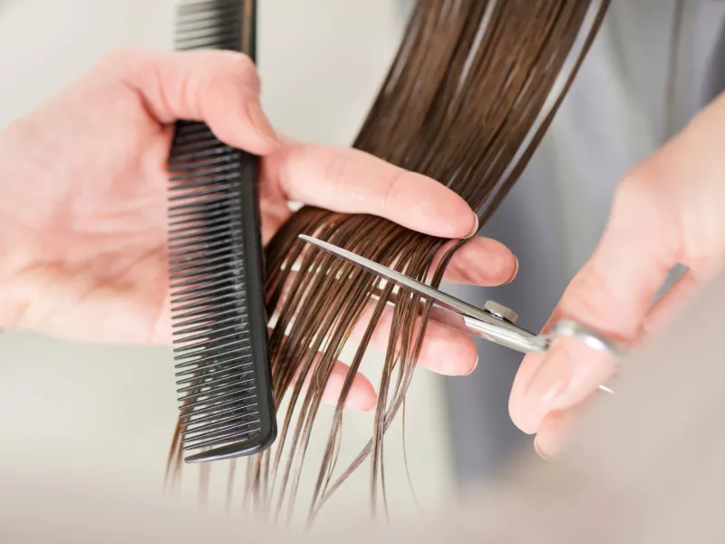 Corte